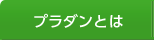 プラダンとは